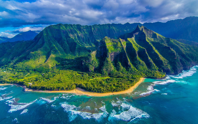 Hawaiian Oasis