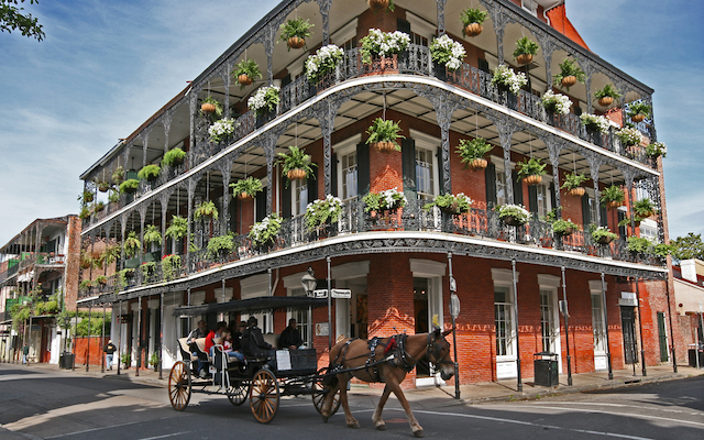Exclusive Louisiana